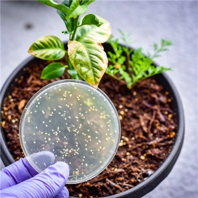 Profi Gwrtaith Nitrogen